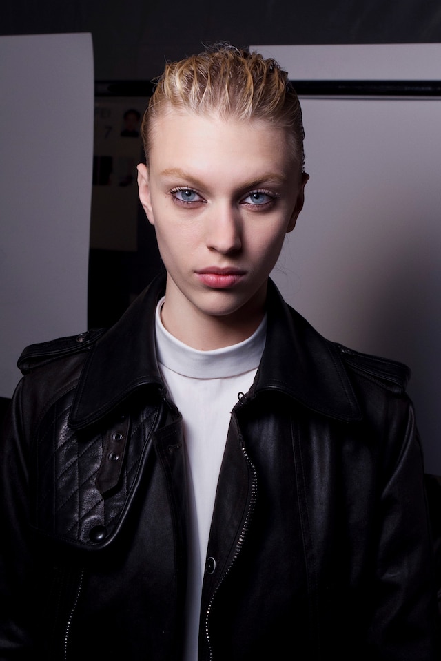 Diesel Feb 13 2013 MReayIMG_9845 5