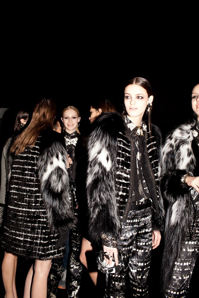 cavalli alta_8 5