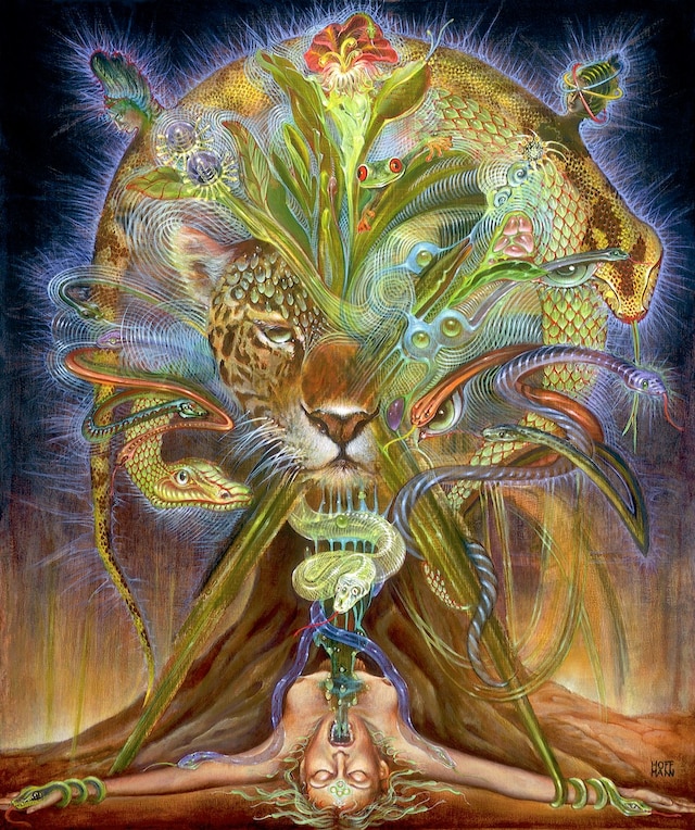 caught_in_the_web_1