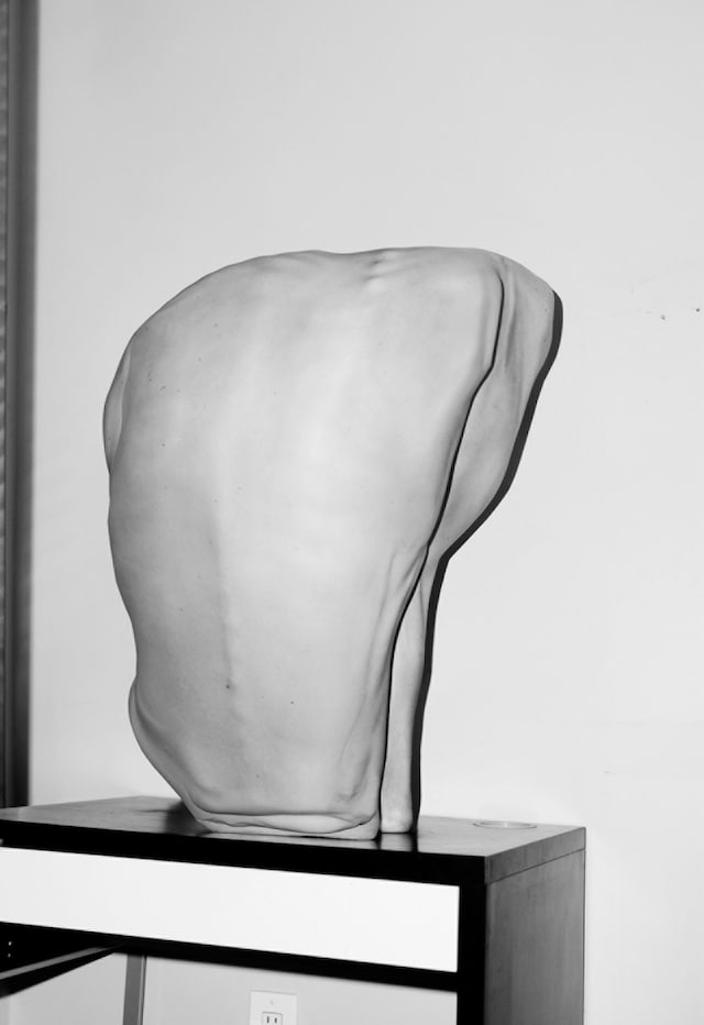 Asger Carlsen_Hester 16_2012 (c) Asger Carlsen_Cou 7