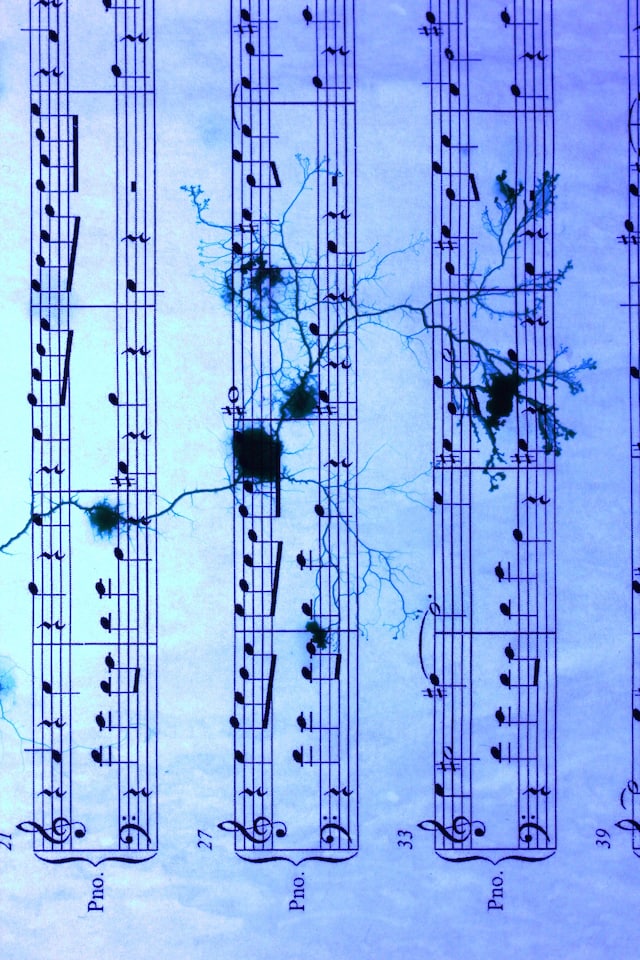 simon-park-slime-mold-music-score 18