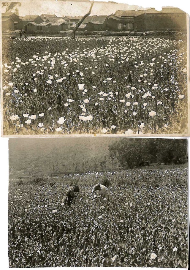 sharpscanner@maggs.com_20130430_095733_001 10