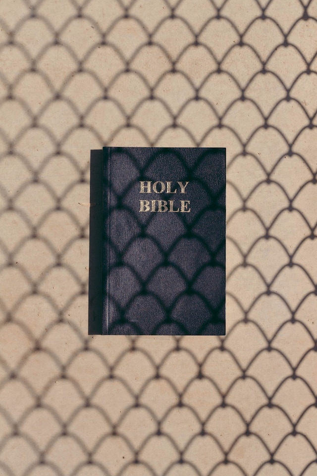 holy bible 5