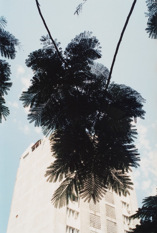 LS_Gallery_05 14