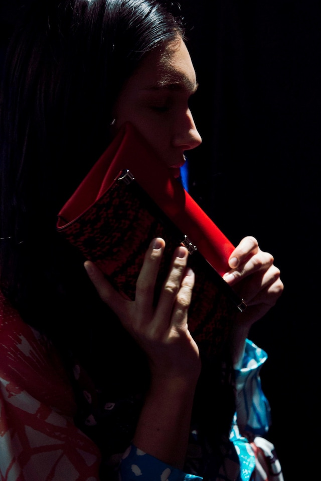 DVFSS14_25 5
