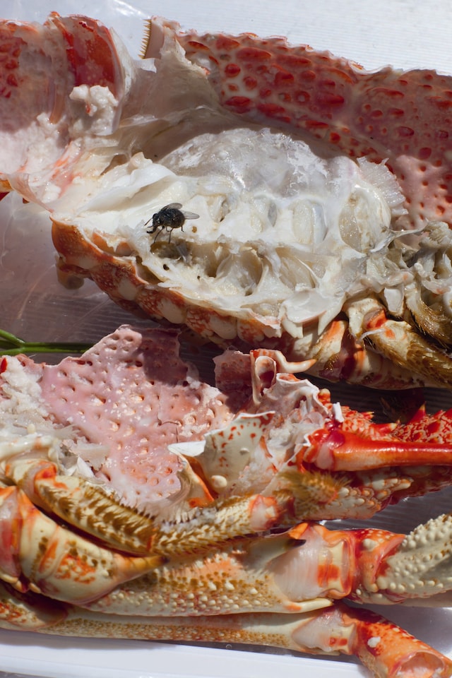 fo_tillmans_new_world_01 2 0