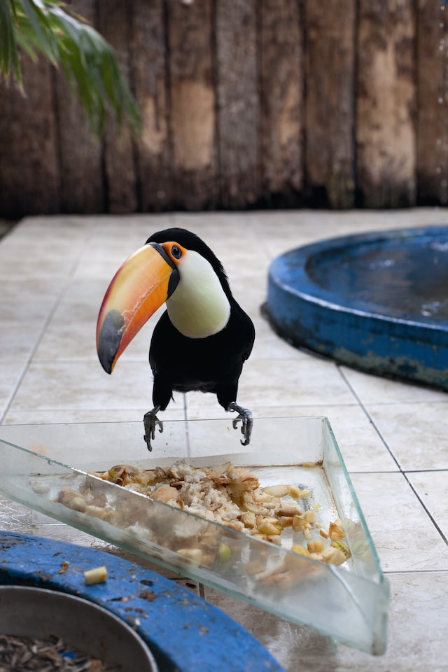 fo_tillmans_new_world_02 1