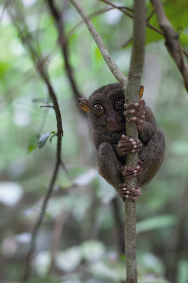 fo_tillmans_new_world_11 10