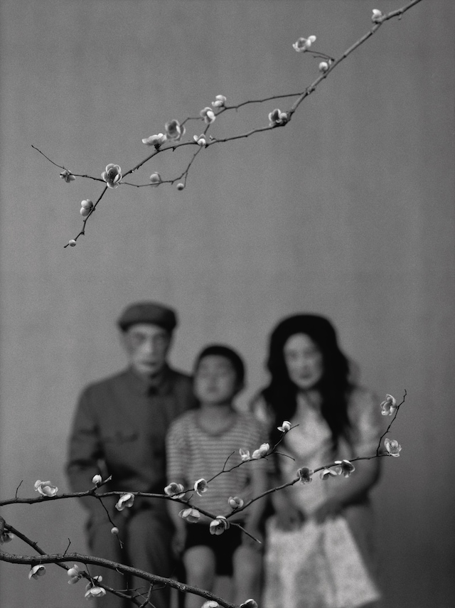 Wang Ningde – Some Days 2009, Courtesy of Galerie 12
