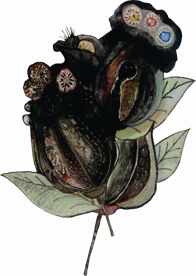 DARK FLOWER 3