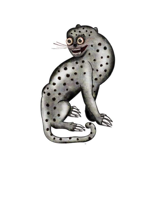 snow leopard 6