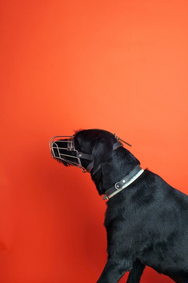 Puklus_Love_Story_IMG_0202_B 10