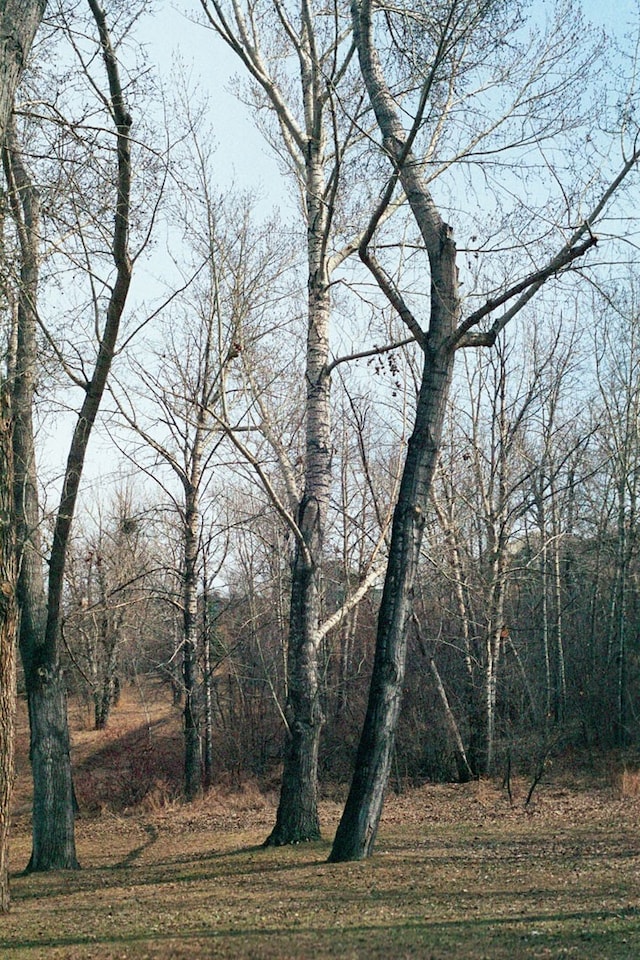 Earth People 4