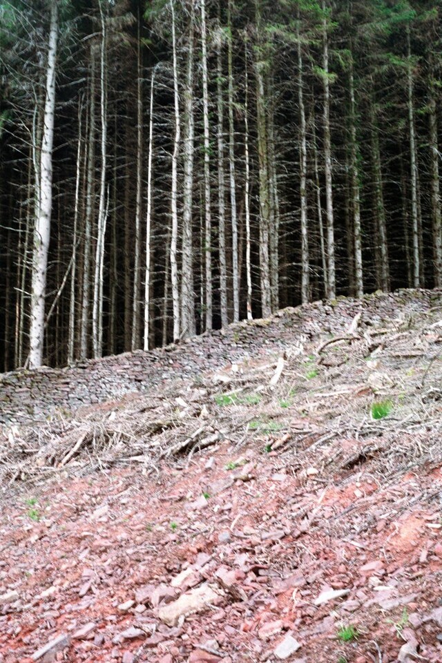 Earth People 15