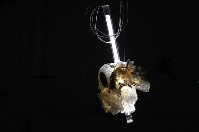 The Invisible Human, Tobias Klein. Lower_abdomen_a 16