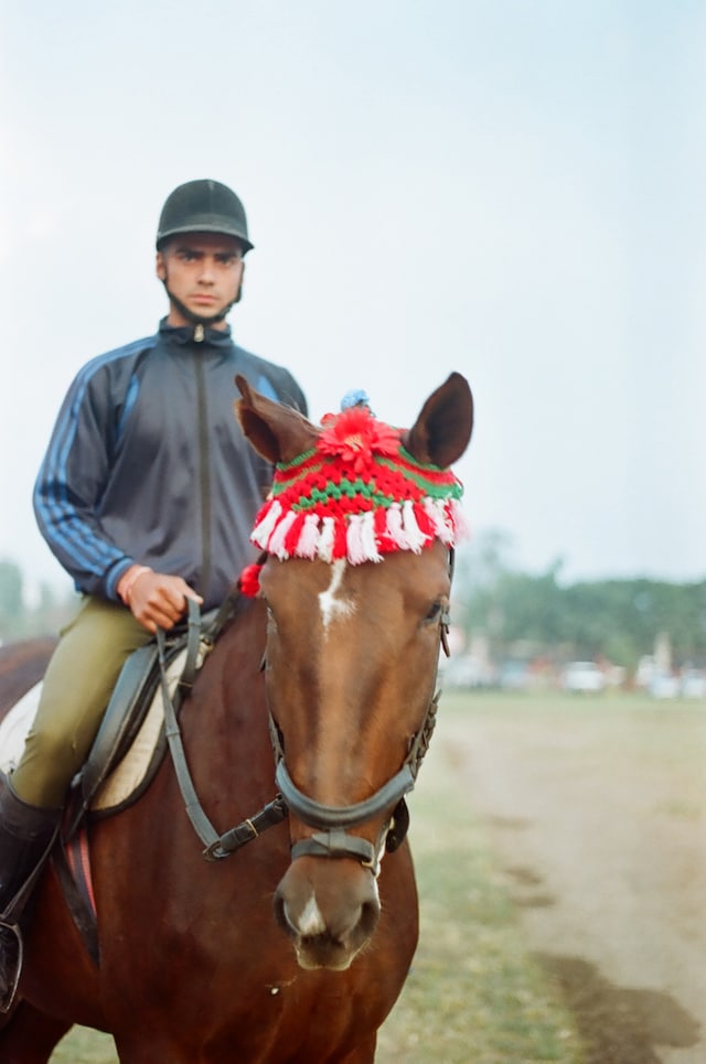 polohorse2 20