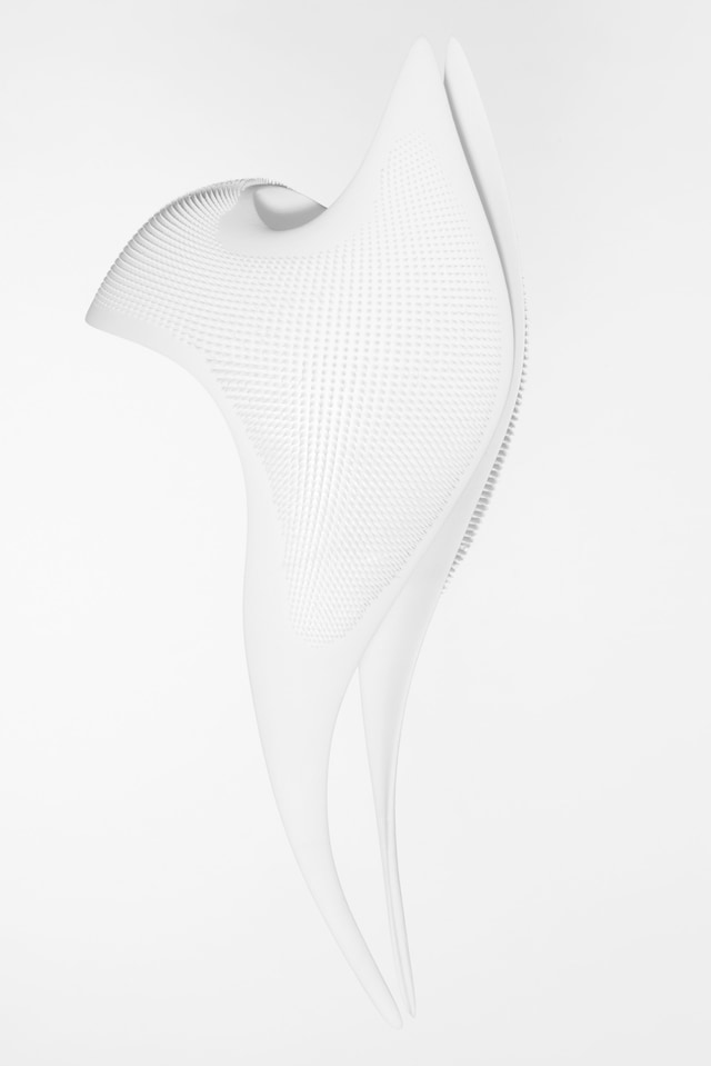 Ana Rajcevic&#39;s Autodesk Creation 1
