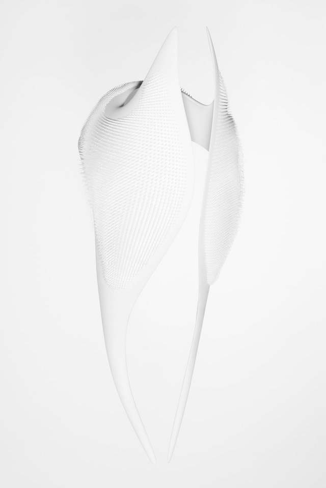 Ana Rajcevic&#39;s Autodesk Creation 3