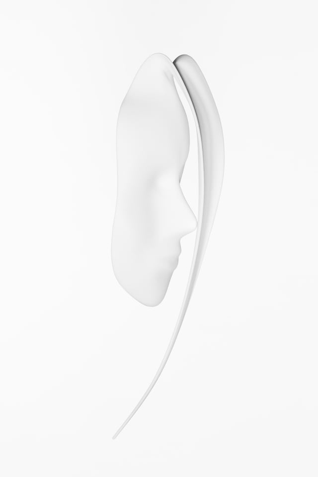 Ana Rajcevic&#39;s Autodesk Creation 5