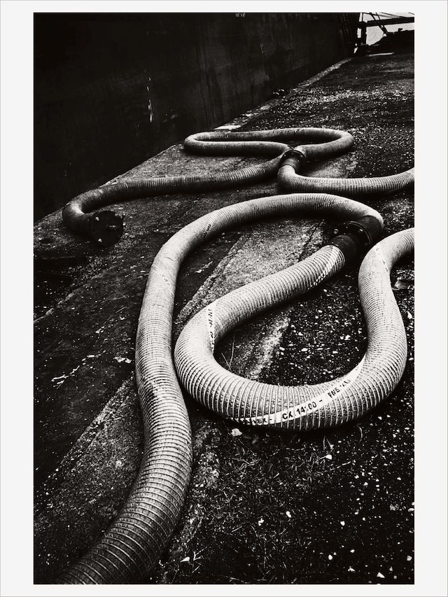 The Definitive Monograph 2