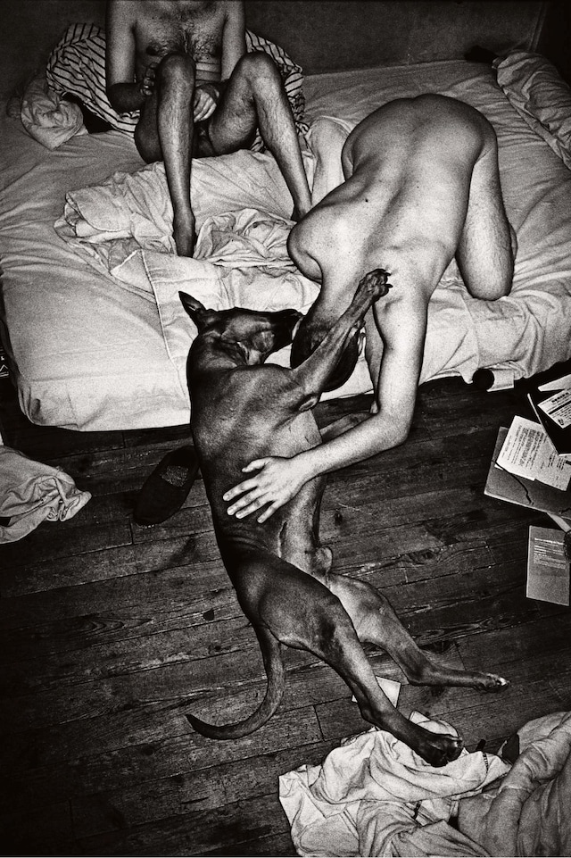 The Definitive Monograph 6