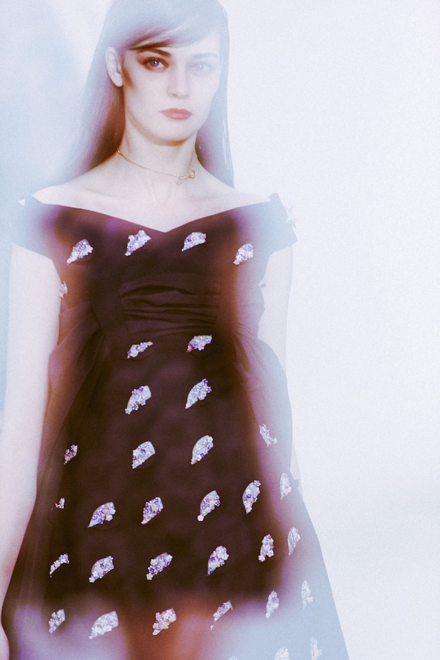 Christian Dior Haute Couture SS14 1