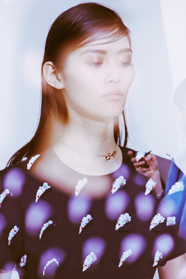 Christian Dior Haute Couture SS14 5