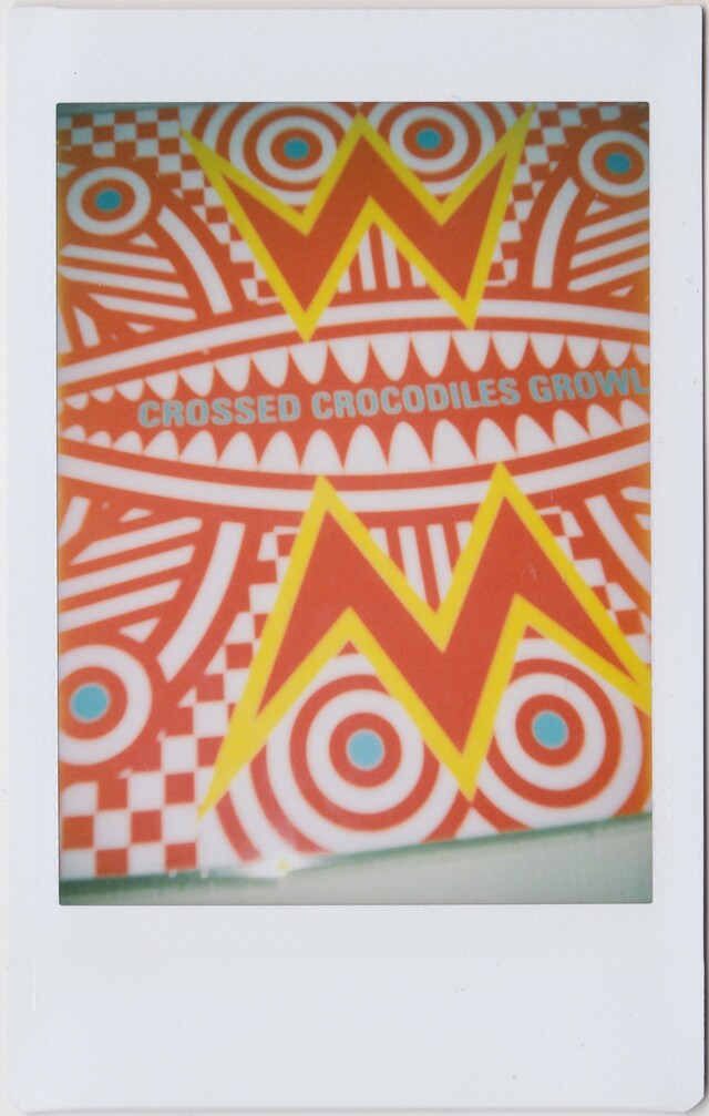 polaroids for ID 9 3