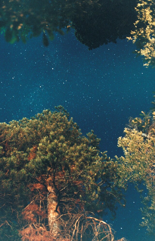 Only the Good Ones 7