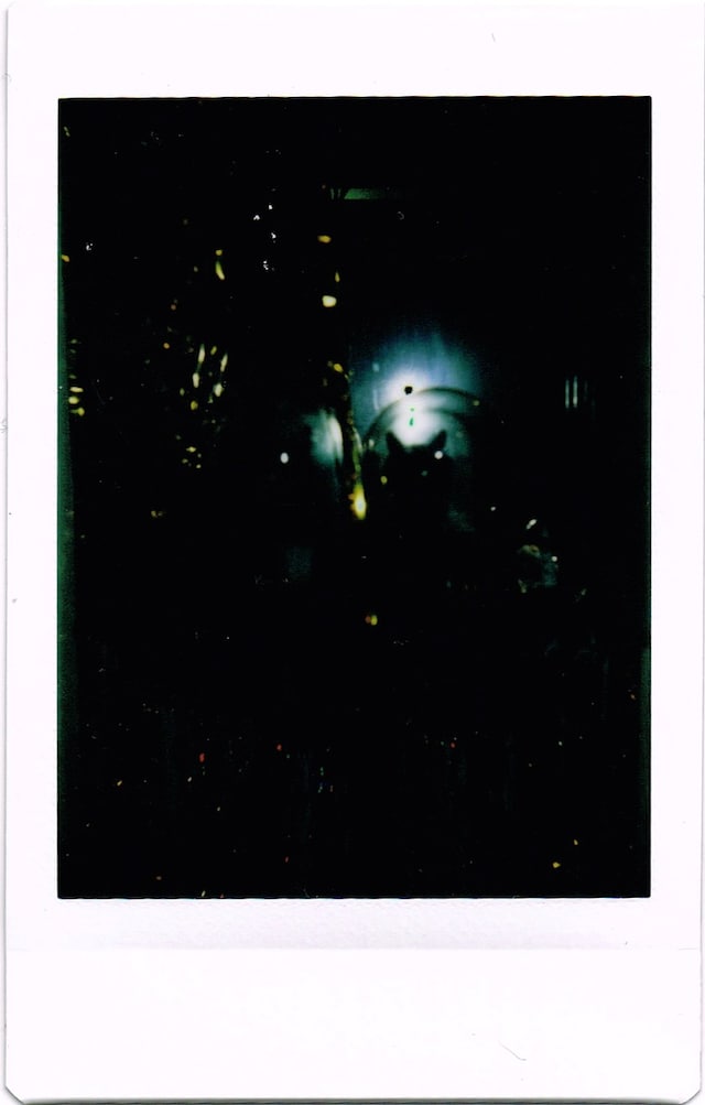 MEADHAM_KIRCHHOFF 6