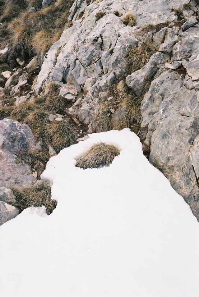 Young Blood, Old Shot 4