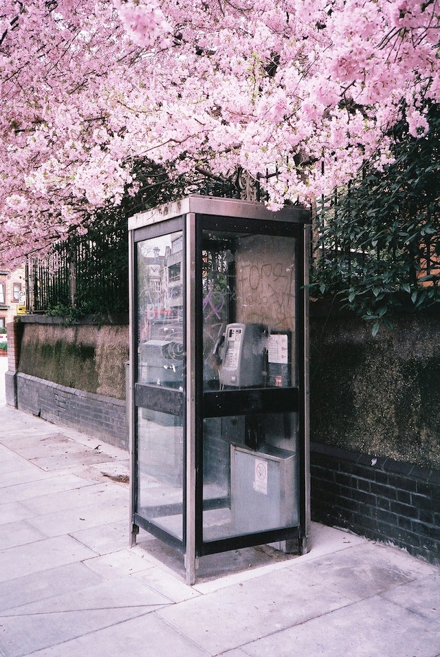 Young Blood, Old Shot 9