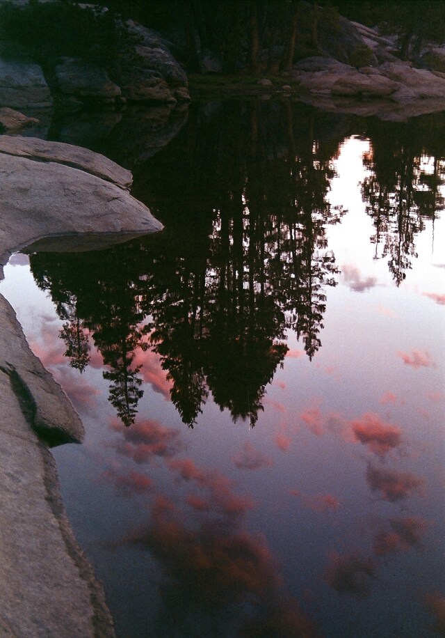 Young Blood, Old Shot 13