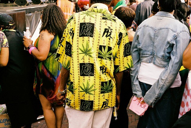 Young Blood, Old Shot 14