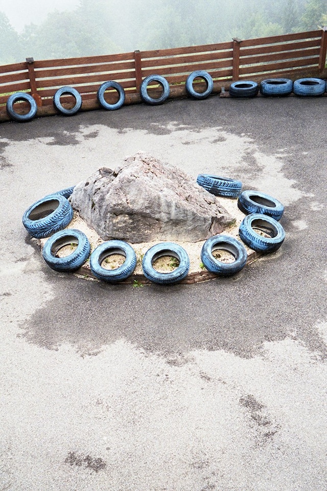 Young Blood, Old Shot 20