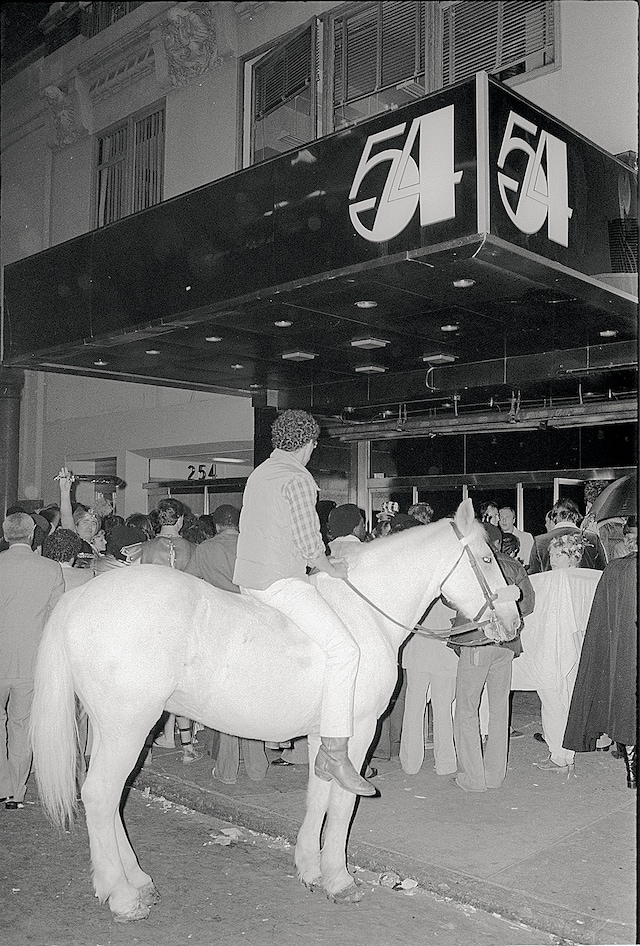 S54_Halloween_Horse 0