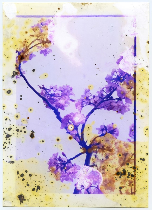 Untitled-3_Lunar-Caustic_MGTS 2