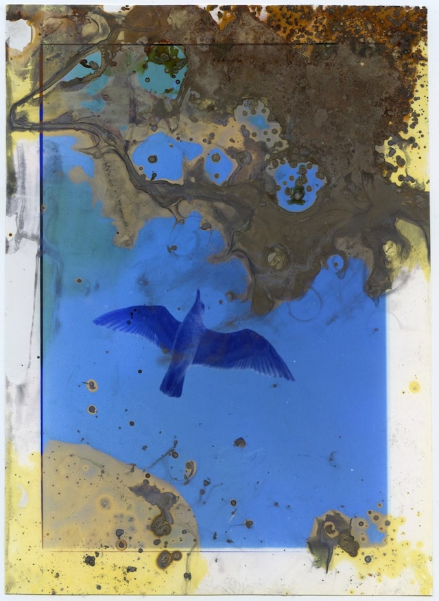 Untitled-9_Lunar-Caustic_MGTS 8