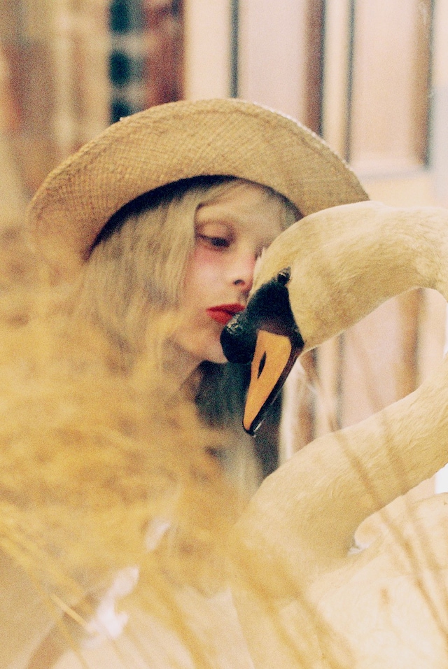 PetiteMeller 6