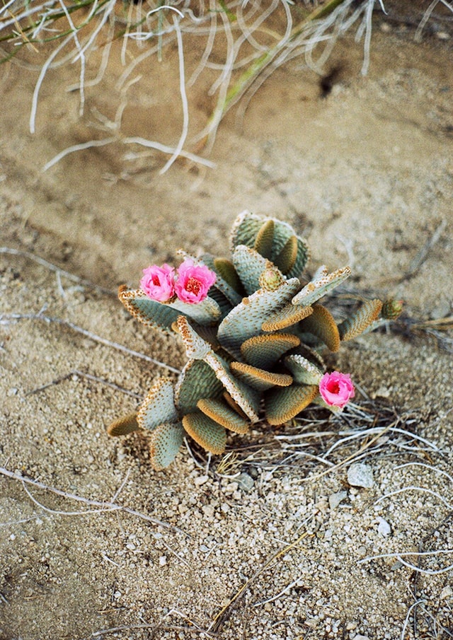 Capturing an American Road Trip 8