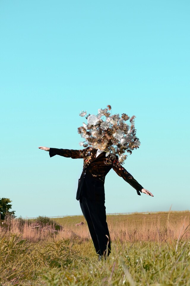 Gino Anthonisse, Dandelion 2