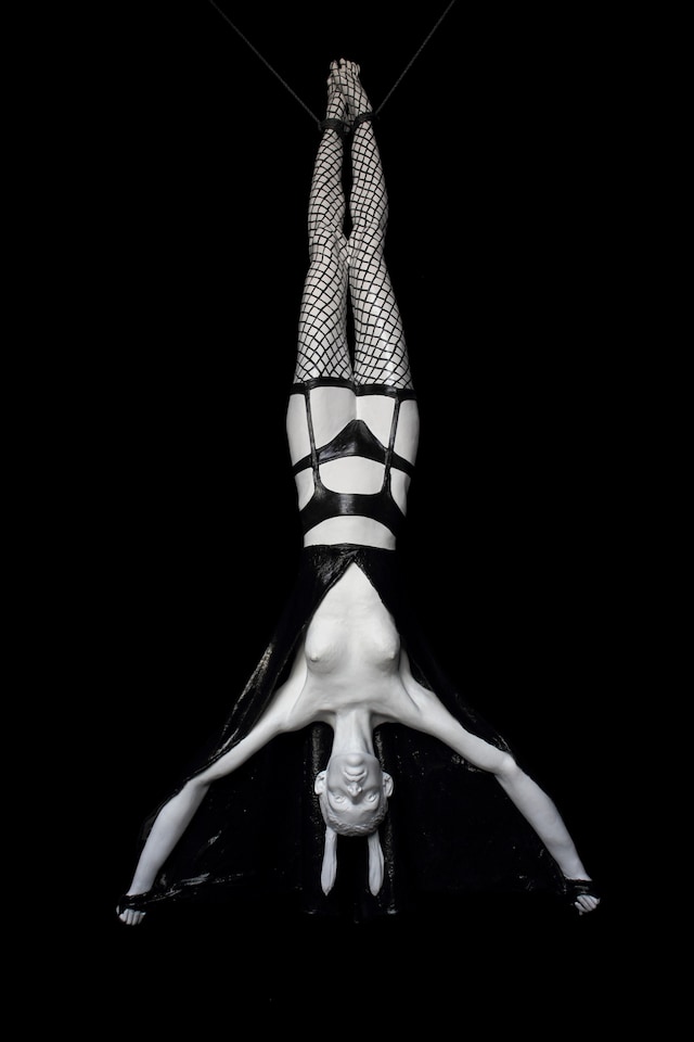 Zoo Collective 18