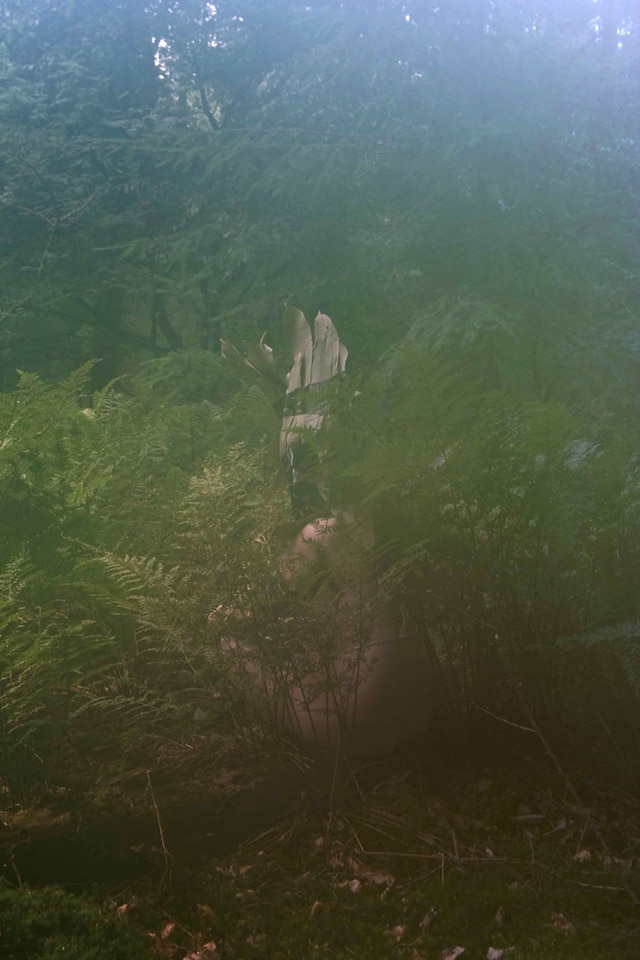 Bush Complusion 9