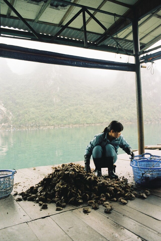 13283884343_b7d903168f_b 18