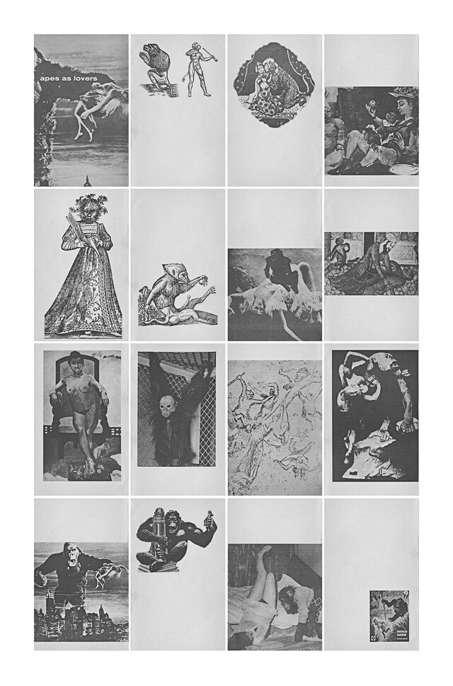Apes as Lovers, 2012 7