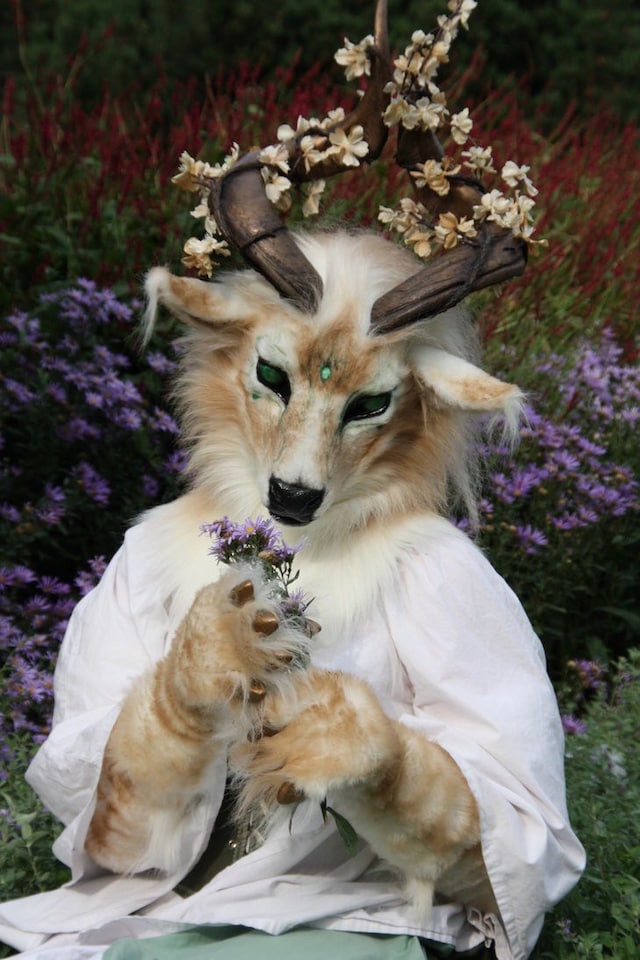 Jashis as a deer 11