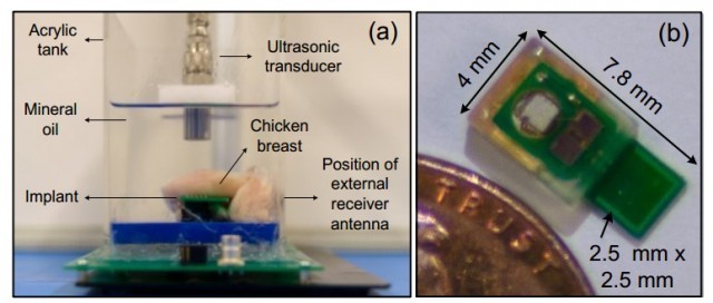 Ultrasonic-powered implants being tested on chicken