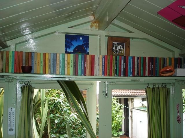 Image 5
