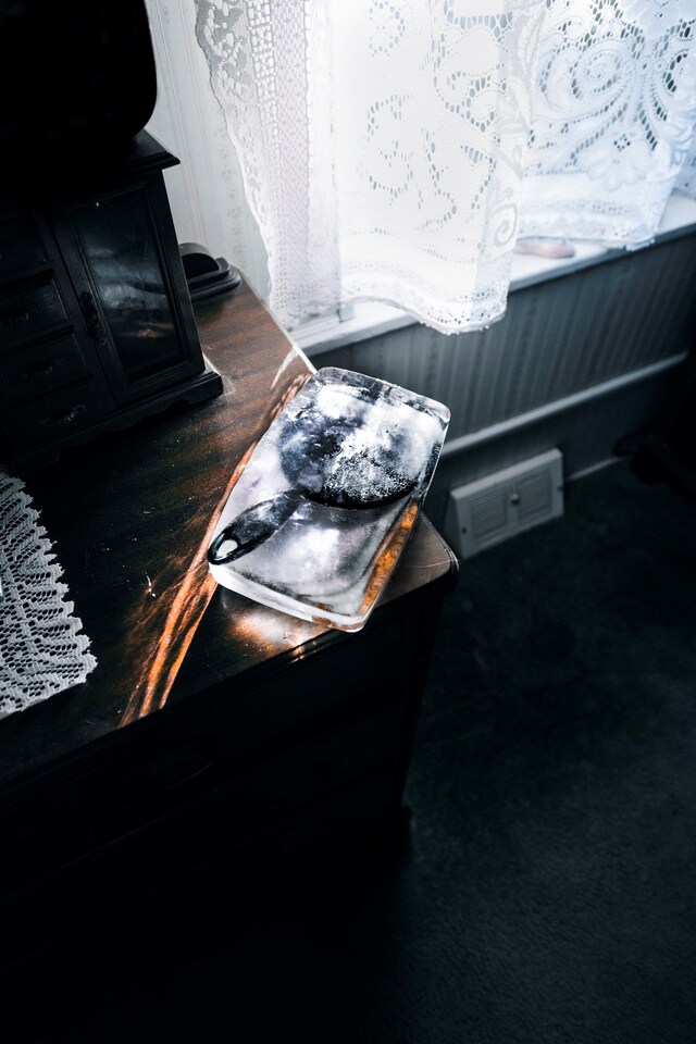 "Oh here you are, where did you disappear to?" 5