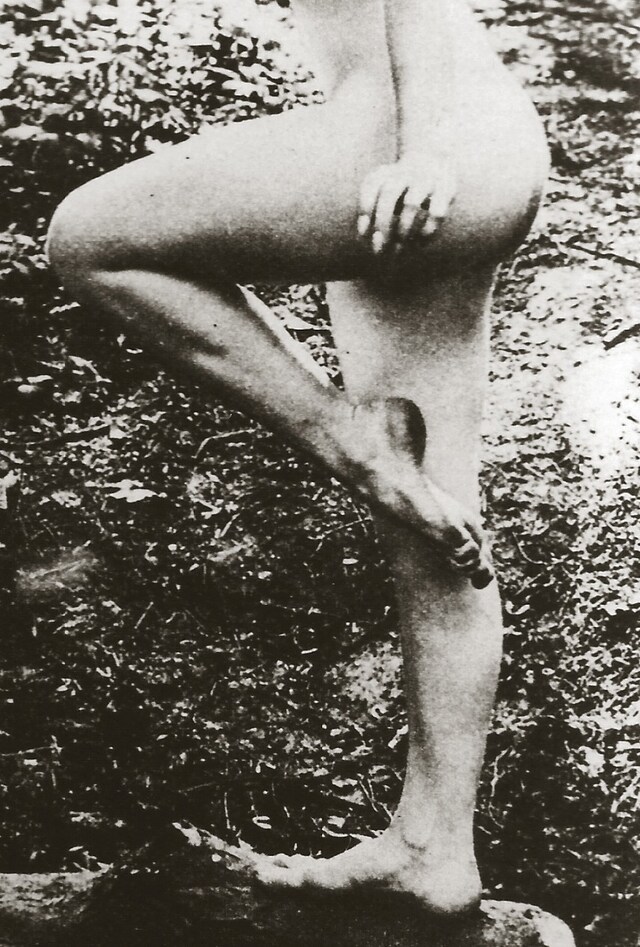 Score for a sequence of poses 11 9